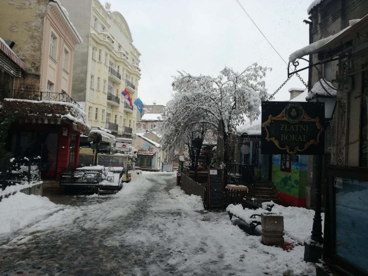 By The Park Free Parking Διαμέρισμα Βελιγράδι Εξωτερικό φωτογραφία