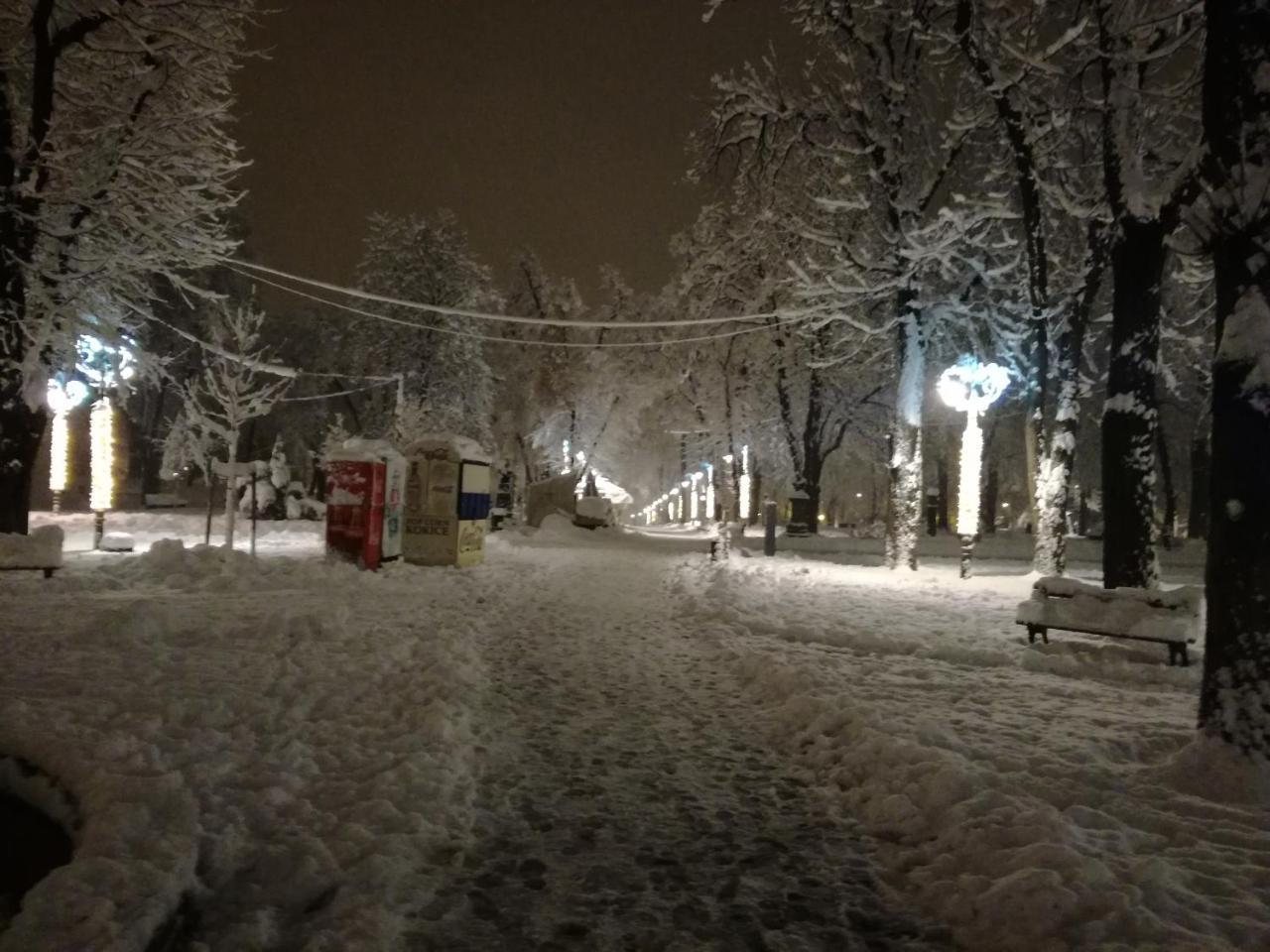 By The Park Free Parking Διαμέρισμα Βελιγράδι Εξωτερικό φωτογραφία